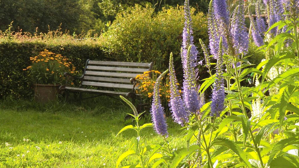 Sitzbereich im ländlichen Garten